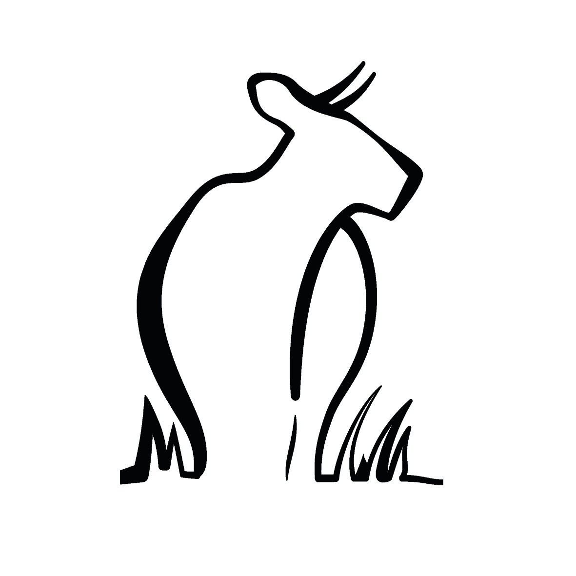 Les vaches